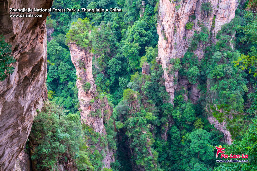 Zhangjiajie National Forest Park